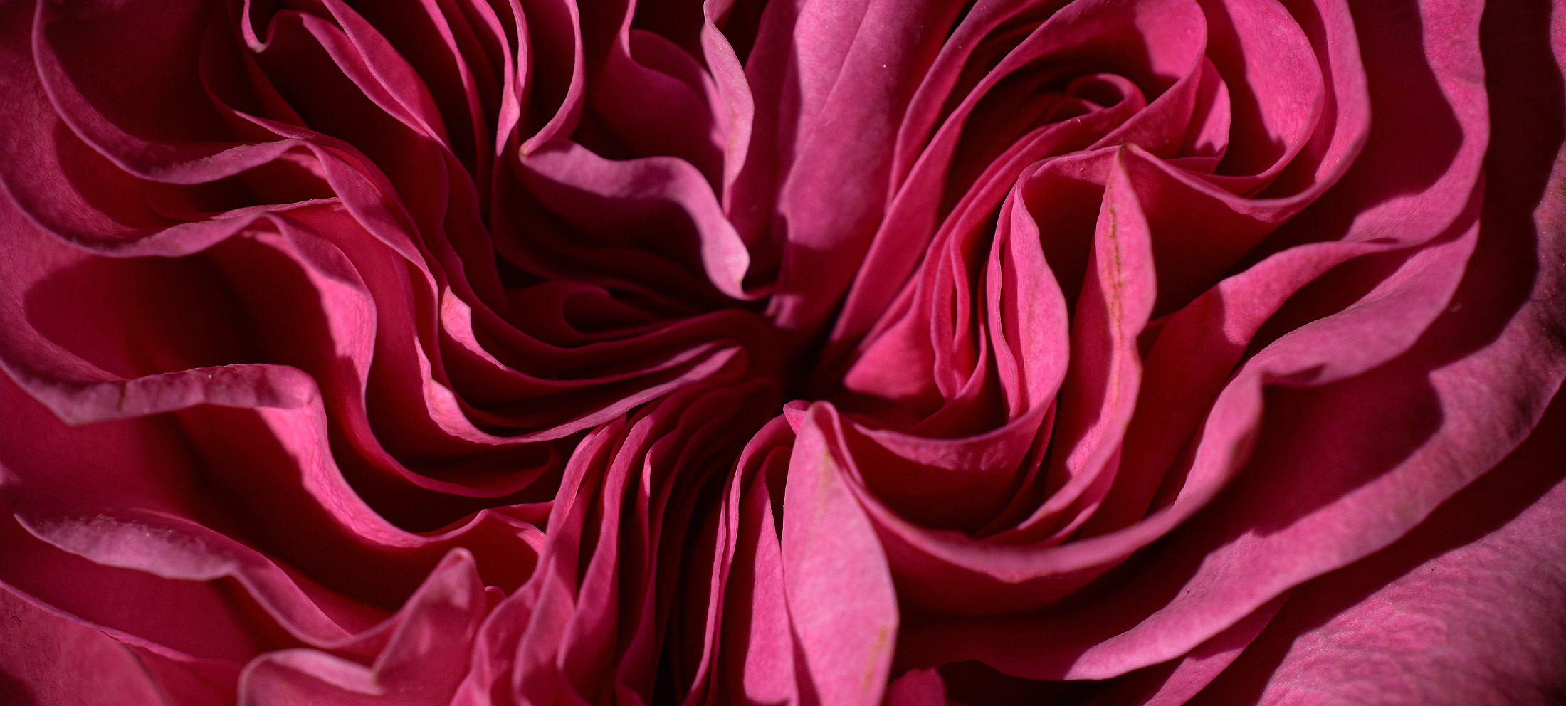 dr-fazeny-doerner-onkologin-tcm-wien-haem-kombi-tcm-header dr-doerner-fazeny-onkologin-tcm-internistin-brustkrebs-wien